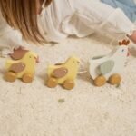 Traukiama višta su viščiukais Little Dutch