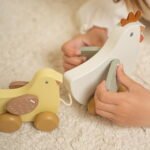 Traukiama višta su viščiukais Little Dutch