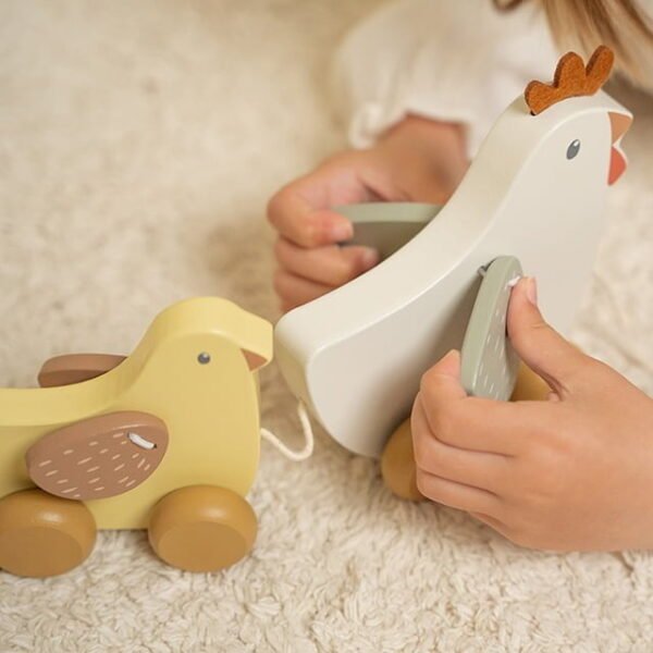 Traukiama višta su viščiukais Little Dutch