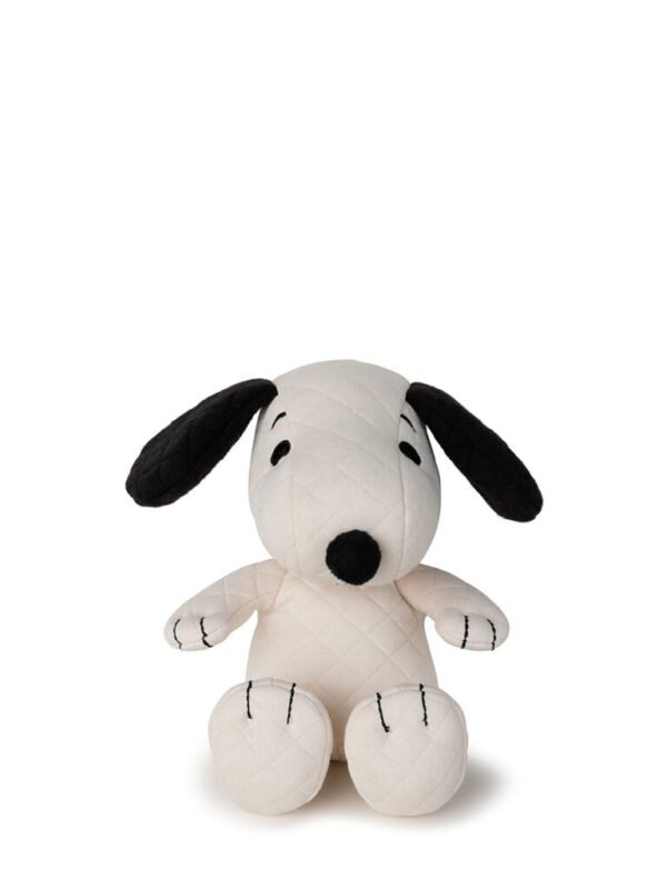 Žaislas Snoopis dovanų dėžutėje